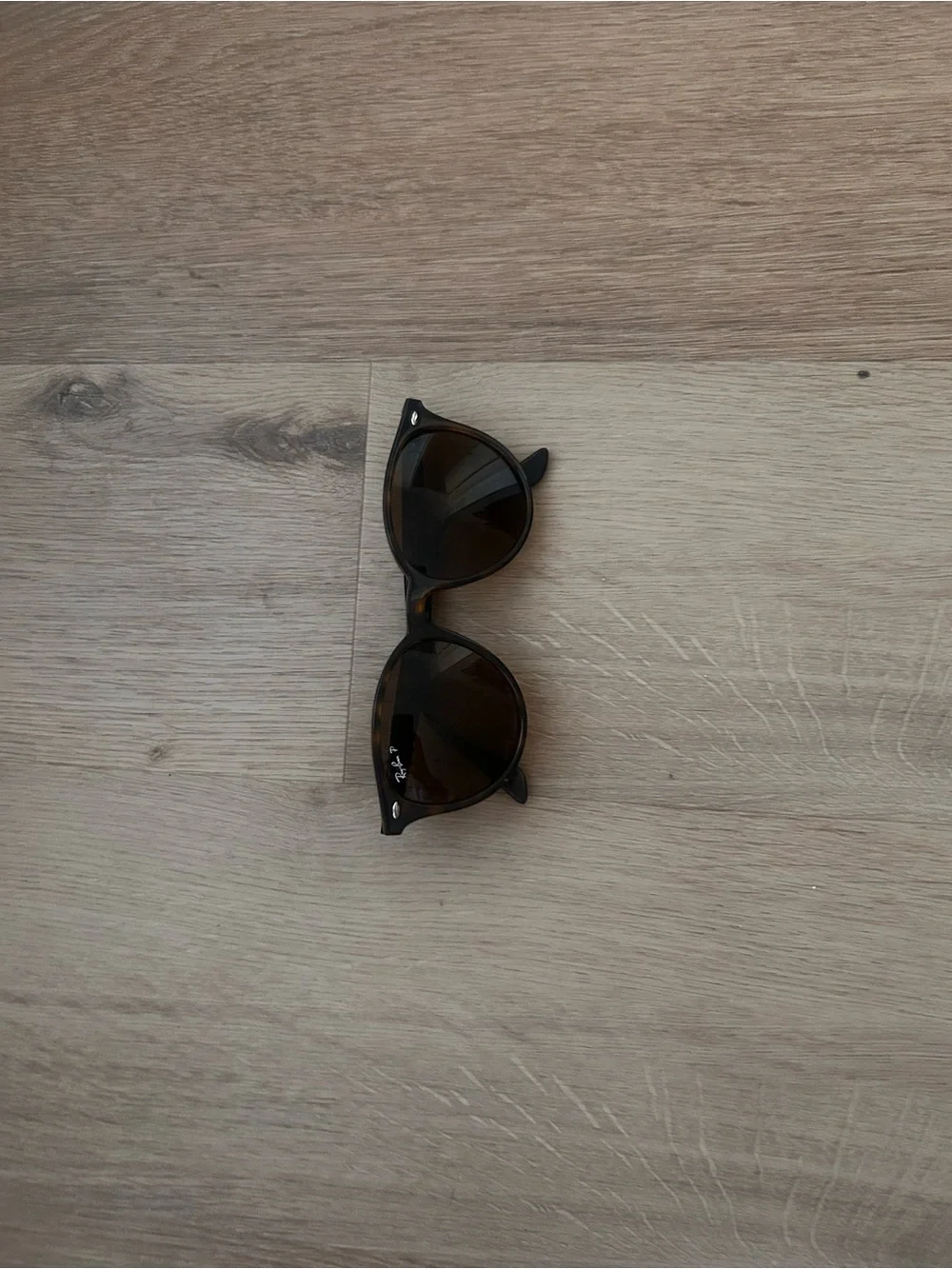 Ray-Ban Erika Classic RB4171 Tortoise Brown Polarized Sunglasses
